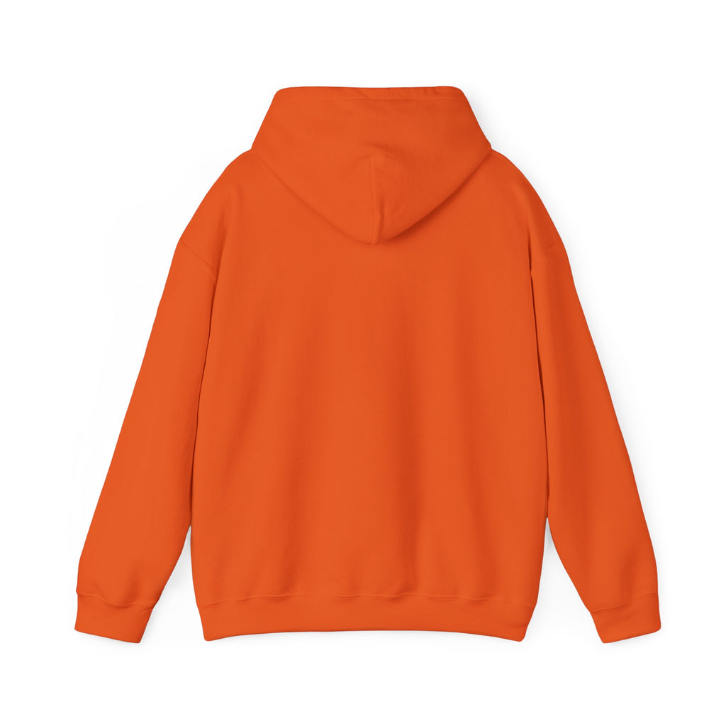 Highly Motivated. Deeply Overwhelmed. — That Morning Call Hoodie